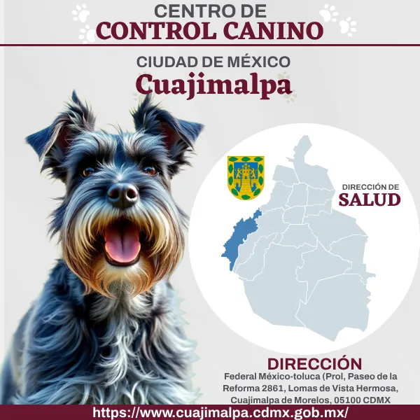Control Canino Cuajimalpa CDMX Perreras o antirrábicos.