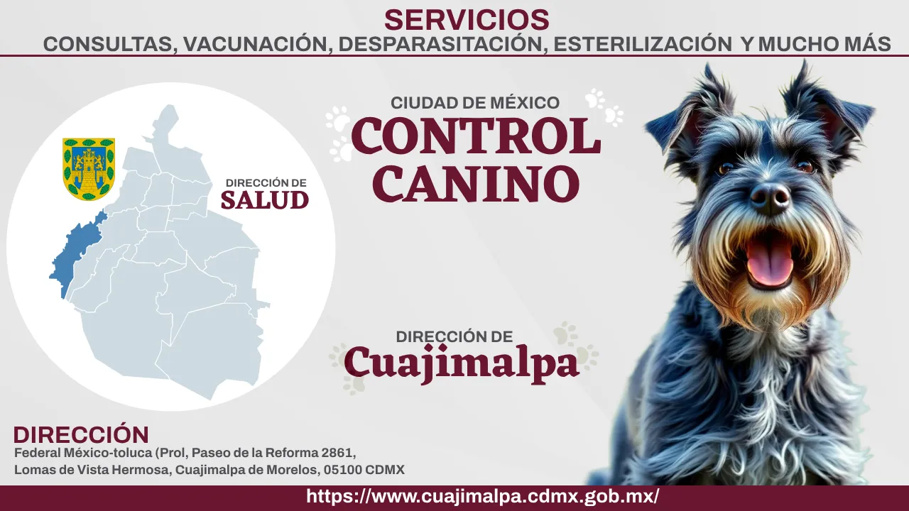 Control Canino Cuajimalpa CDMX Perreras o antirrábicos.