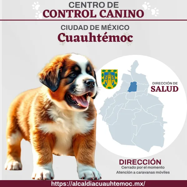 Control Canino Cuauhtémoc CDMX. Perreras o antirrábicos.
