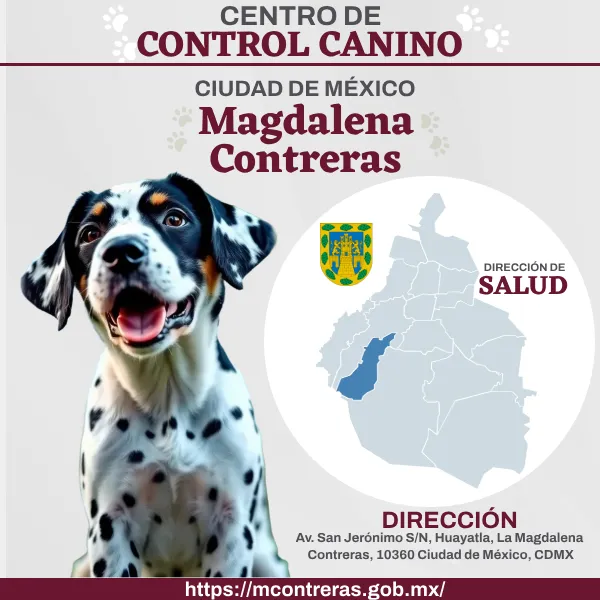 Control Canino Magdalena Contreras CDMX Perreras o antirrábicos.