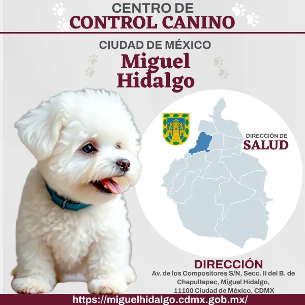 Control Canino Miguel Hidalgo CDMX Perreras o antirrábicos.