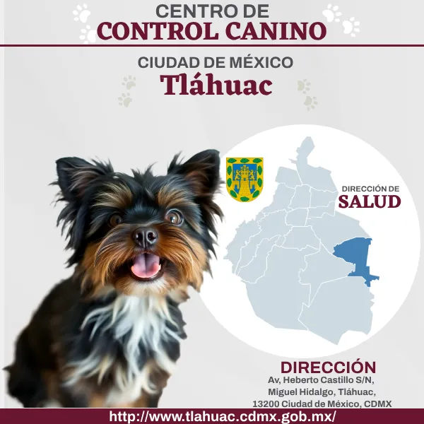 Control Canino Tláhuac CDMX Perreras o antirrábicos.