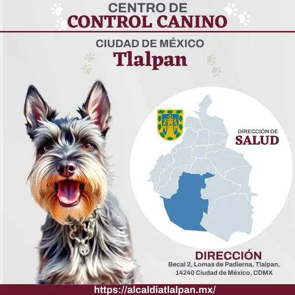 Control Canino Tlalpan CDMX Perreras o antirrábicos.