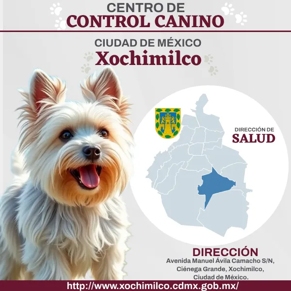 Control Canino Xochimilco CDMX Perreras o antirrábicos.
