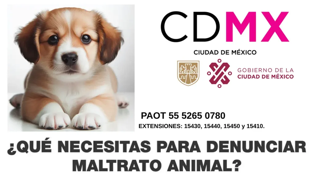 Denuncia el maltrato animal en la Ciudad de México - Pasos, teléfonos y enlaces