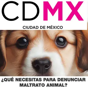 Miniatura para denunciar el maltrato animal en la Ciudad de México - Pasos, teléfonos y enlaces.