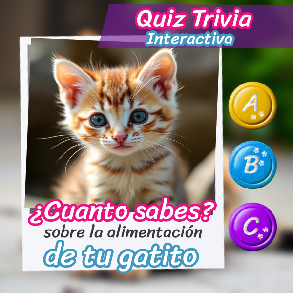 Un gato y trivia interactiva sobre alimentación de mascotas