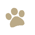 Icono de huella de perro como símbolo contra el maltrato animal dark