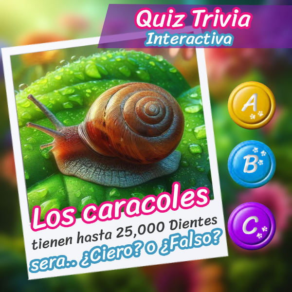 Imagen de un caracol en una rama para el quiz interactivo sobre su vida y costumbres.