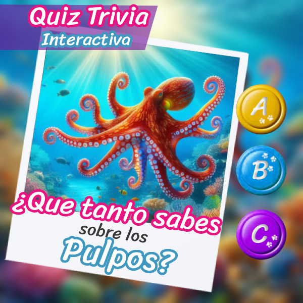 Imagen de un pulpo nadando para un quiz interactivo sobre datos curiosos de los pulpos