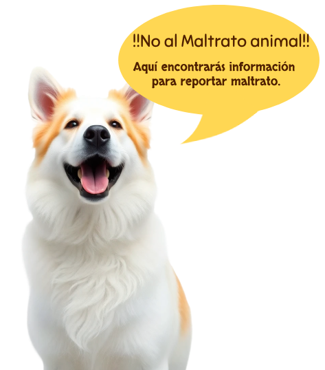Un perrito feliz que tiene una burbuja de texto tipo comic y dice No al maltrato animal