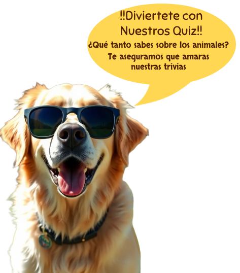 Una imagen de un perrito con lentes que te invita a que pruebes las trivias o Quiz
