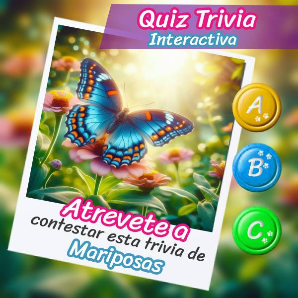 Quiz trivia interactiva sobre las costumbres y vida de las mariposas