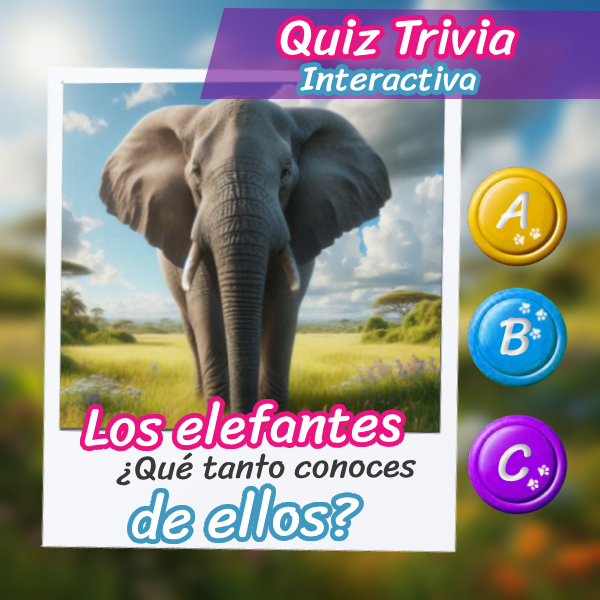 Imagen de un hermoso elefante para el quiz interactivo sobre su vida y costumbres.