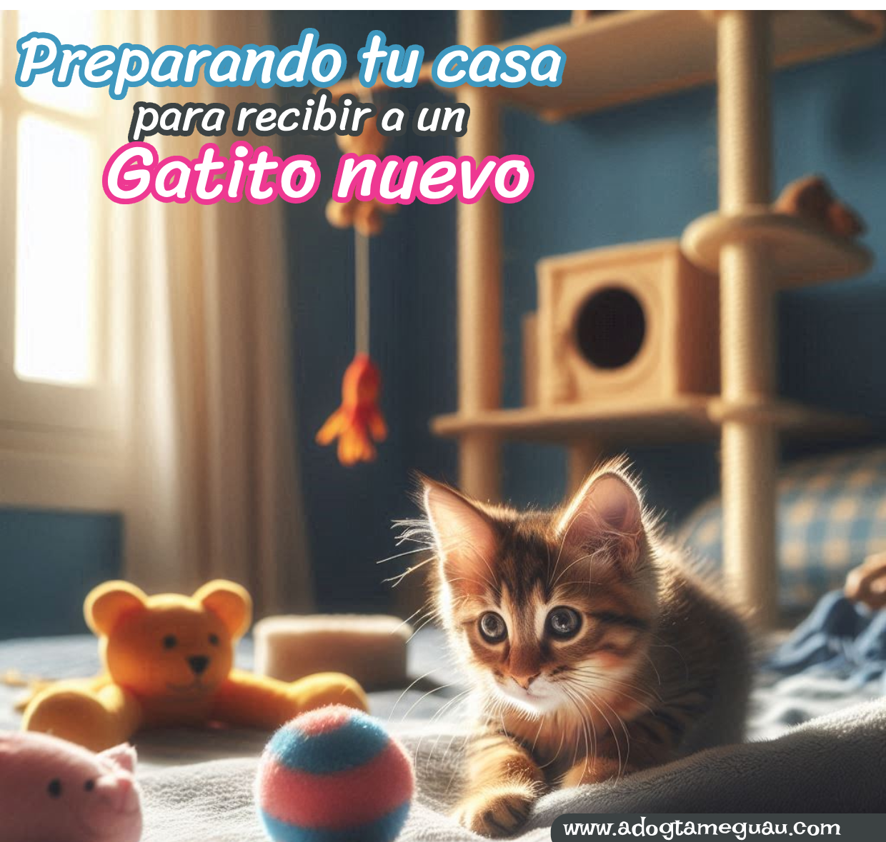 Gato explorando su nuevo hogar con juguetes y cama