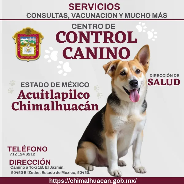 Control Canino en Acuitlapilco Chimalhuacán, EDOMEX.
