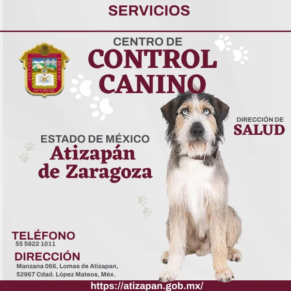 Control Canino Atizapán de Zaragoza EDOMEX imagen destacada.