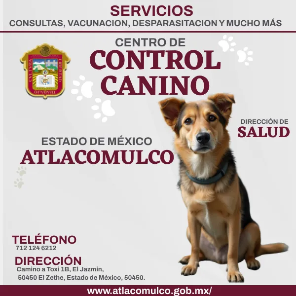 Control Canino Atlacomulco EDOMEX imagen destacada.