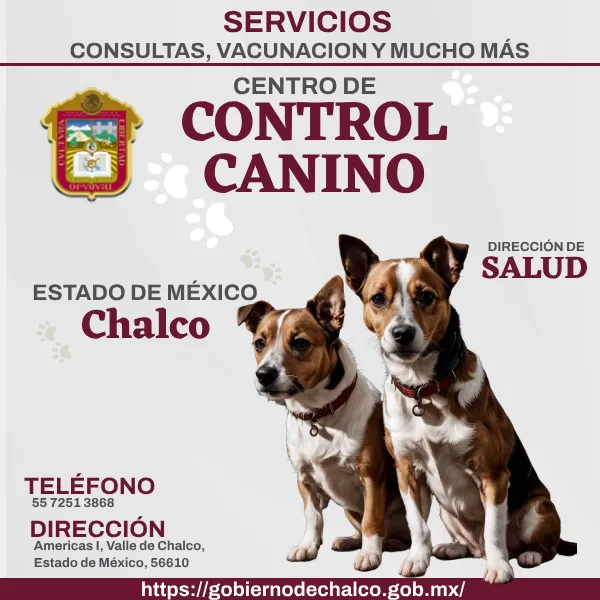 Control Canino Chalco EDOMEX imagen destacada.