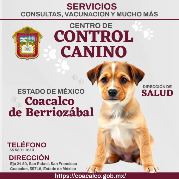 Control Canino Coacalco EDOMEX imagen destacada.