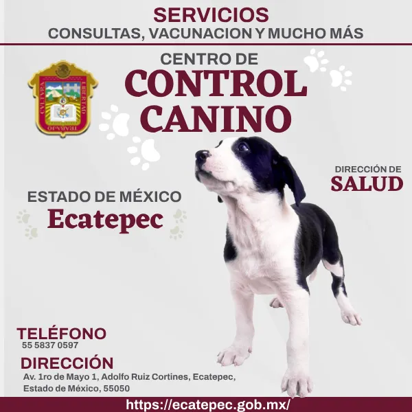 Control Canino Ecatepec EDOMEX imagen destacada.