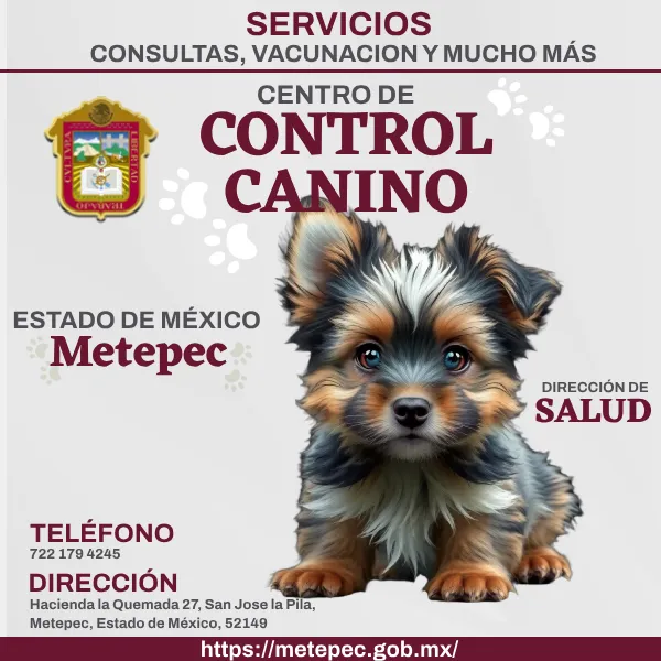 Control Canino Ecatepec EDOMEX imagen destacada.