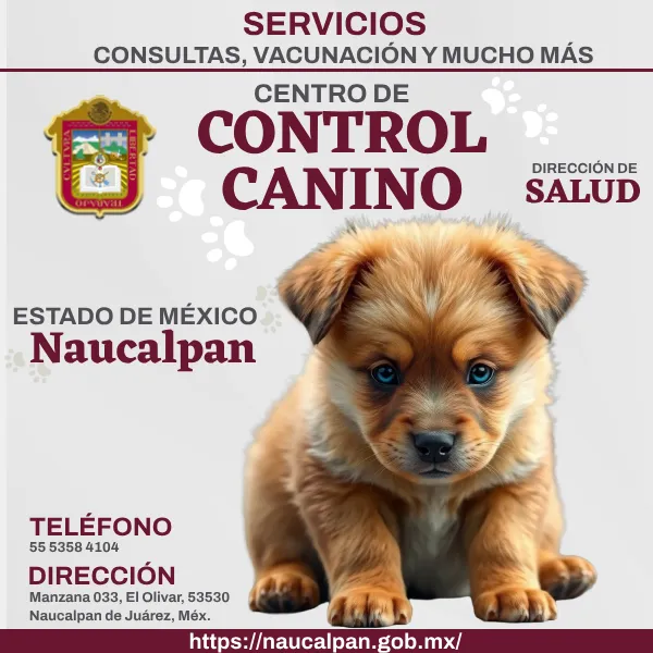 Control Canino Naucalpan EDOMEX imagen destacada.