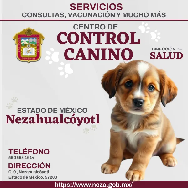 Control Canino Nezahualcóyotl EDOMEX imagen destacada.