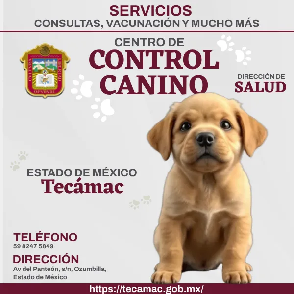 Control Canino Tecámac EDOMEX imagen destacada.