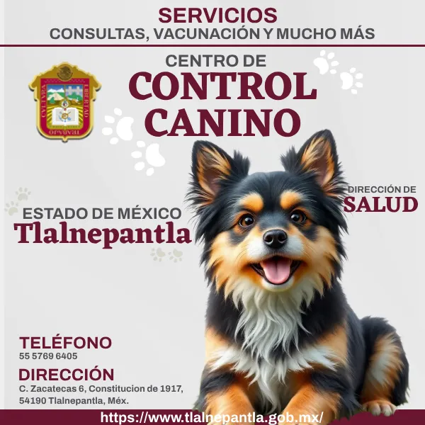 Control Canino Tlalnepantla EDOMEX imagen destacada.