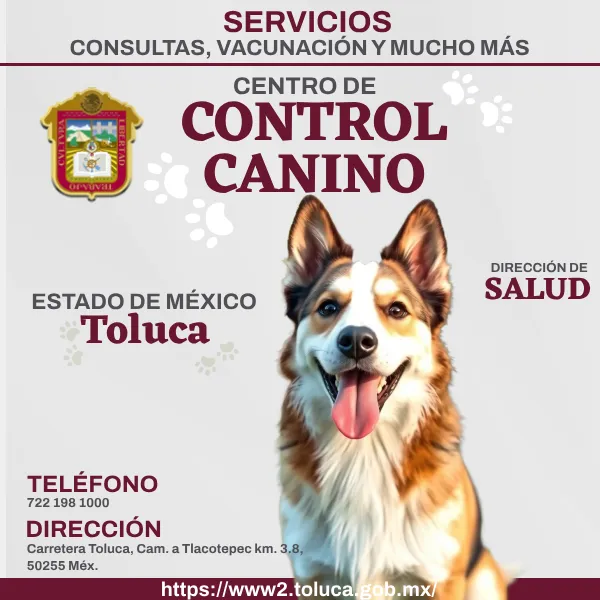 Control Canino Toluca EDOMEX imagen destacada.