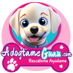 Adogtameguau.com